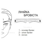 Лінійка для моделювання брів пряма ZOLA