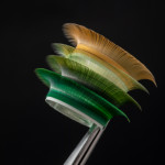 Вії LASH&CASH, OLIVE SHADES, mix C 0.07 (8 - 13) 28 ліній, SCULPTOR