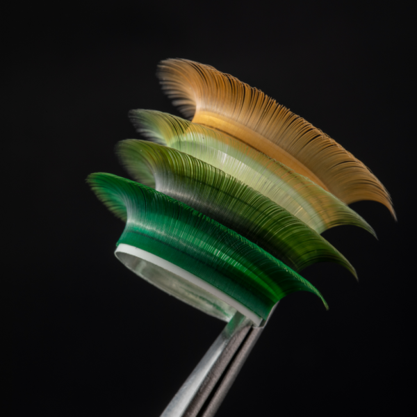 Вії LASH&CASH, OLIVE SHADES, mix C 0.07 (8 - 13) 28 ліній, SCULPTOR